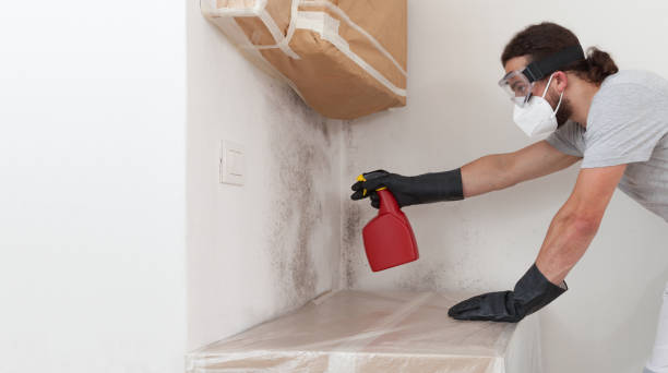 Professional Basement Mold Remediation technician working in Rockville Centre, NY